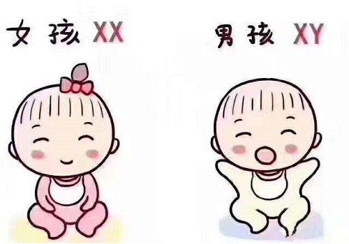 试管婴儿的流程是什么样的？