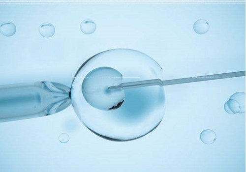 试管婴儿要移植多少个胚胎