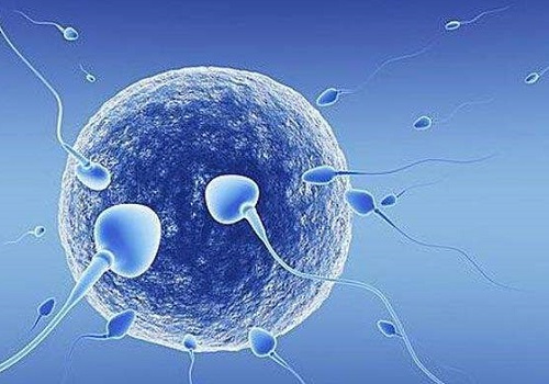 试管婴儿移植后胎停的7种原因